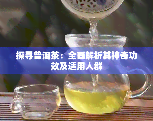 探寻普洱茶：全面解析其神奇功效及适用人群