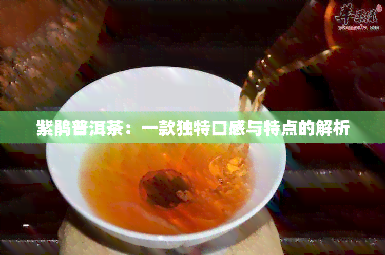 紫鹃普洱茶：一款独特口感与特点的解析