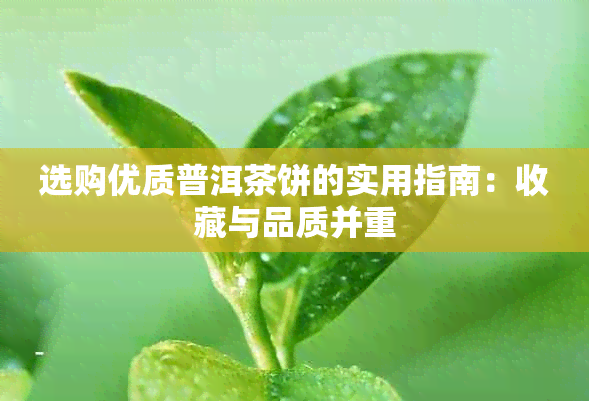 选购优质普洱茶饼的实用指南：收藏与品质并重