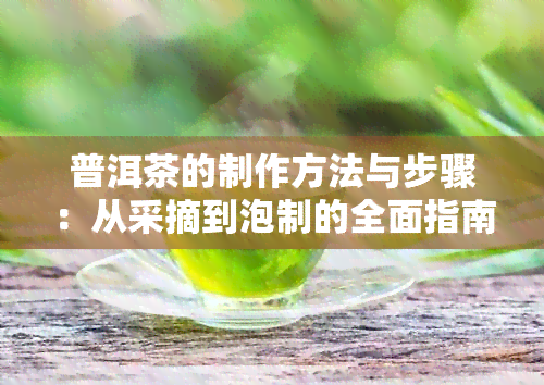 普洱茶的制作方法与步骤：从采摘到泡制的全面指南