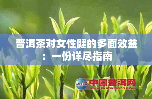 普洱茶对女性健的多面效益：一份详尽指南