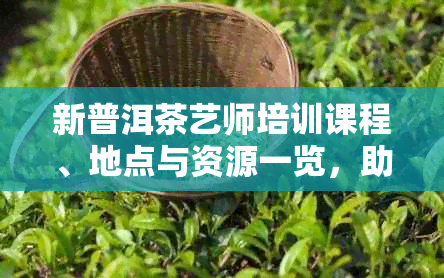 新普洱茶艺师培训课程、地点与资源一览，助您全面提升茶艺技能