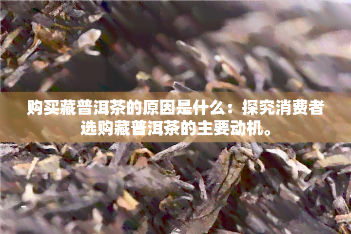 购买藏普洱茶的原因是什么：探究消费者选购藏普洱茶的主要动机。