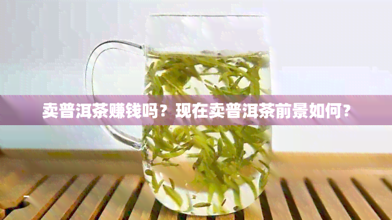 卖普洱茶赚钱吗？现在卖普洱茶前景如何？