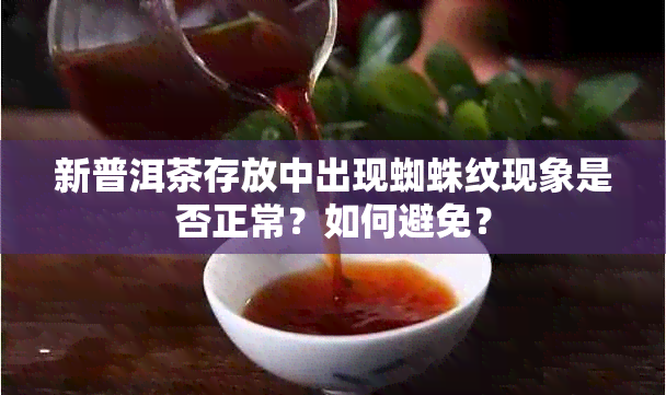 新普洱茶存放中出现蜘蛛纹现象是否正常？如何避免？