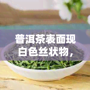 普洱茶表面现白色丝状物，究竟是何原因？