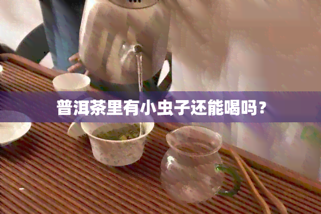 普洱茶里有小虫子还能喝吗？