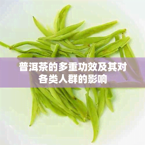 普洱茶的多重功效及其对各类人群的影响