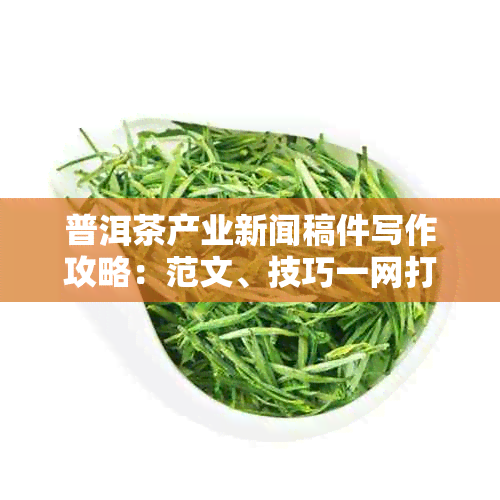 普洱茶产业新闻稿件写作攻略：范文、技巧一网打尽！