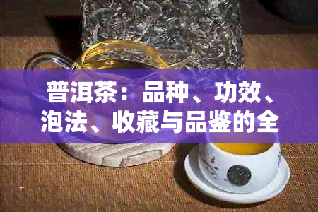 普洱茶：品种、功效、泡法、收藏与品鉴的全面解析与推荐