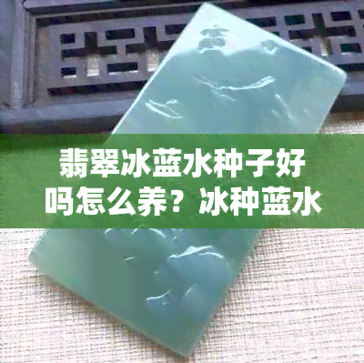 翡翠冰蓝水种子好吗怎么养？冰种蓝水翡翠好不好？