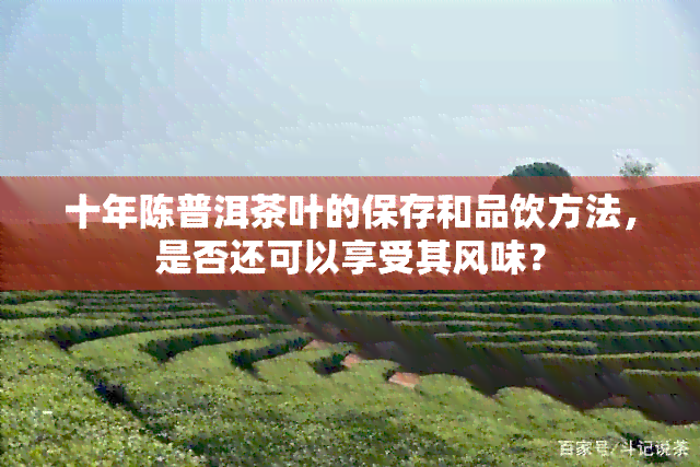 十年陈普洱茶叶的保存和品饮方法，是否还可以享受其风味？