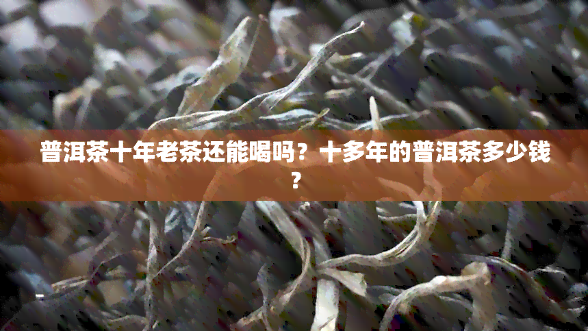 普洱茶十年老茶还能喝吗？十多年的普洱茶多少钱？