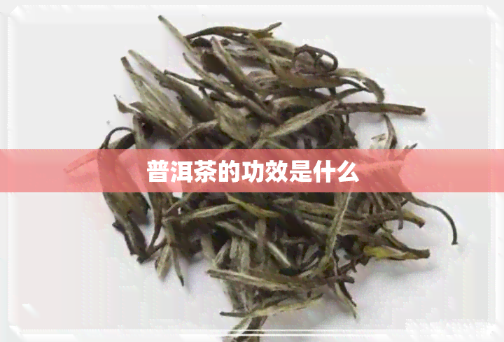 普洱茶的功效是什么