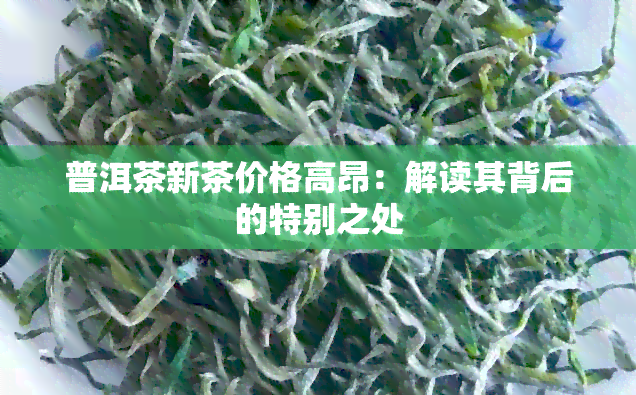 普洱茶新茶价格高昂：解读其背后的特别之处