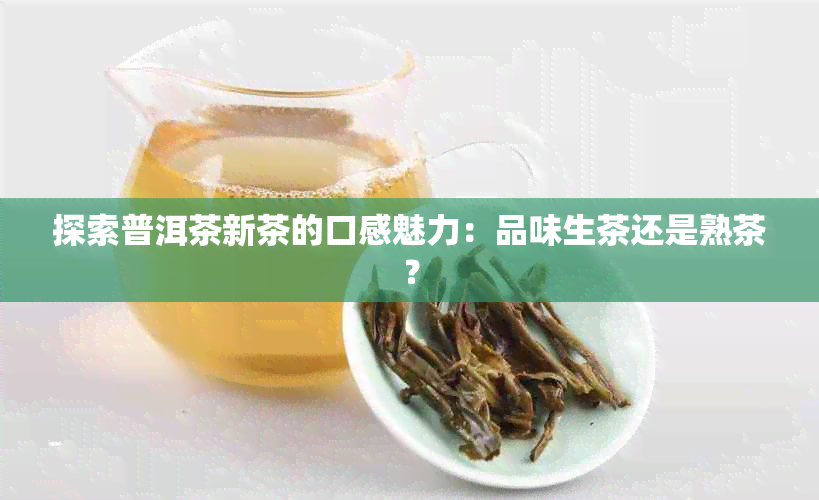 探索普洱茶新茶的口感魅力：品味生茶还是熟茶？