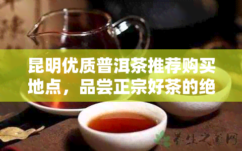 昆明优质普洱茶推荐购买地点，品尝正宗好茶的绝佳去处