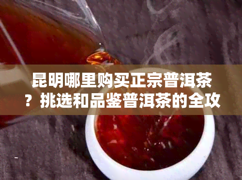 昆明哪里购买正宗普洱茶？挑选和品鉴普洱茶的全攻略