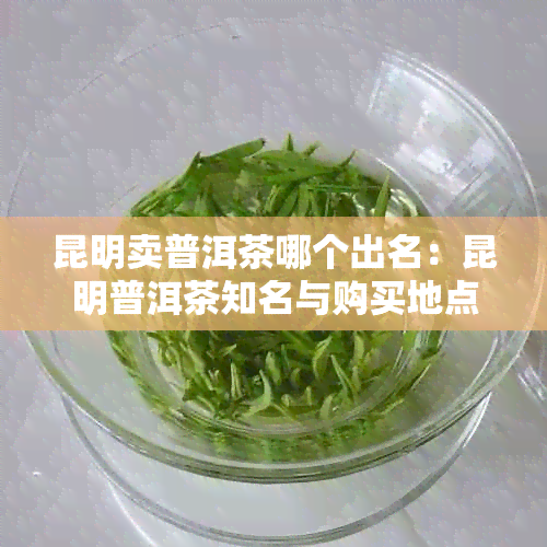 昆明卖普洱茶哪个出名：昆明普洱茶知名与购买地点