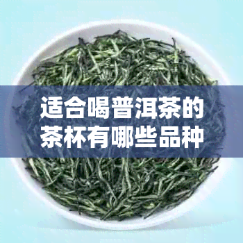 适合喝普洱茶的茶杯有哪些品种及，哪种茶杯最适合喝普洱茶？