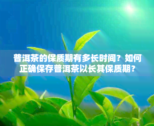 普洱茶的保质期有多长时间？如何正确保存普洱茶以长其保质期？