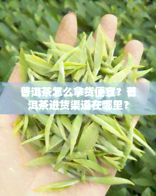 普洱茶怎么拿货便宜？普洱茶进货渠道在哪里？