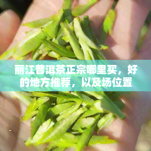 丽江普洱茶正宗哪里买，好的地方推荐，以及场位置