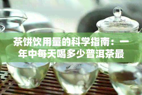 茶饼饮用量的科学指南：一年中每天喝多少普洱茶最合适？