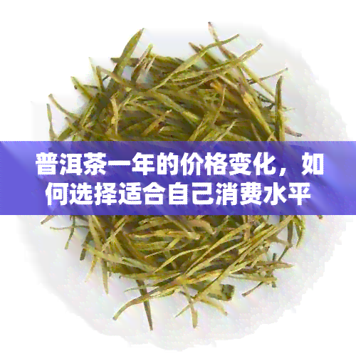 普洱茶一年的价格变化，如何选择适合自己消费水平的普洱茶？