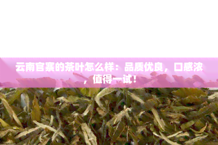 云南官寨的茶叶怎么样：品质优良，口感浓，值得一试！