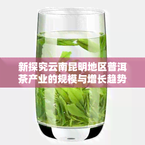 新探究云南昆明地区普洱茶产业的规模与增长趋势