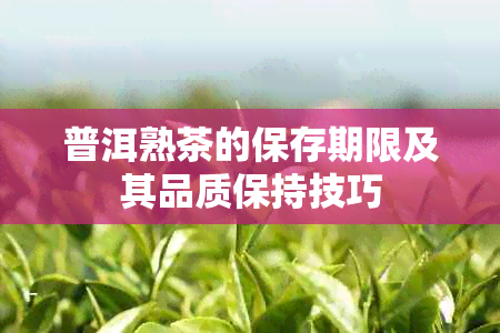 普洱熟茶的保存期限及其品质保持技巧