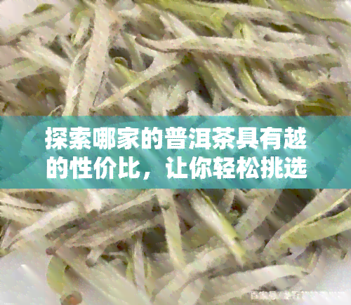 探索哪家的普洱茶具有越的性价比，让你轻松挑选优质茶叶