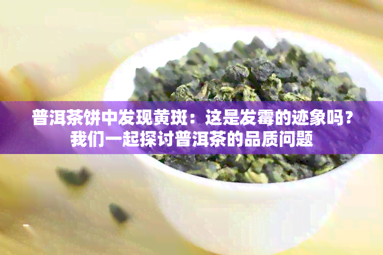 普洱茶饼中发现黄斑：这是发霉的迹象吗？我们一起探讨普洱茶的品质问题