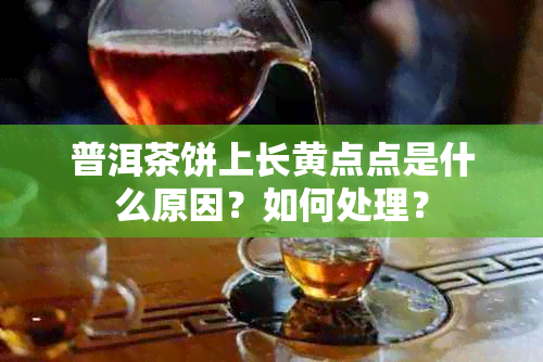 普洱茶饼上长黄点点是什么原因？如何处理？