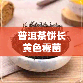 普洱茶饼长黄色霉菌