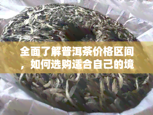 全面了解普洱茶价格区间，如何选购适合自己的境界普洱茶？