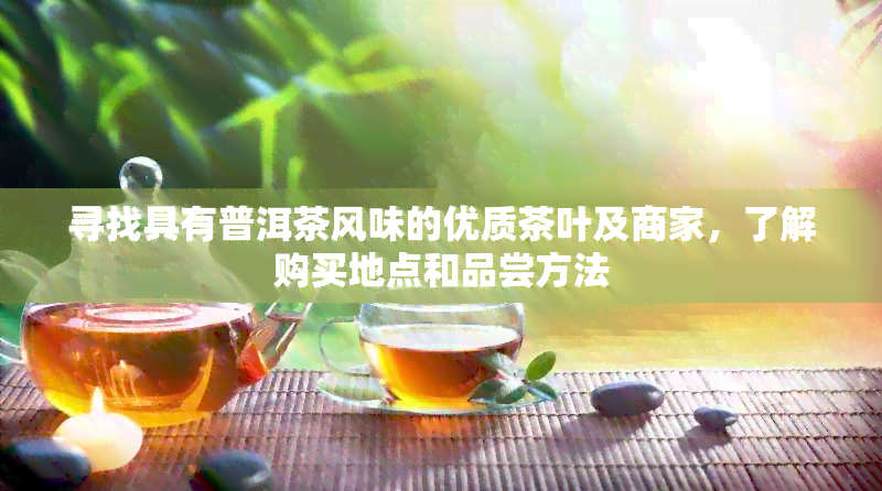 寻找具有普洱茶风味的优质茶叶及商家，了解购买地点和品尝方法