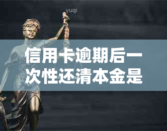 信用卡逾期后一次性还清本金是否合规？了解协商还款的所有细节和可能性