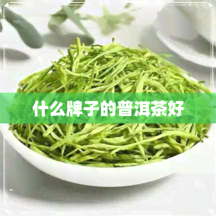 什么牌子的普洱茶好