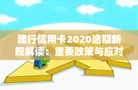 建行信用卡2020逾期新规解读：重要政策与应对策略