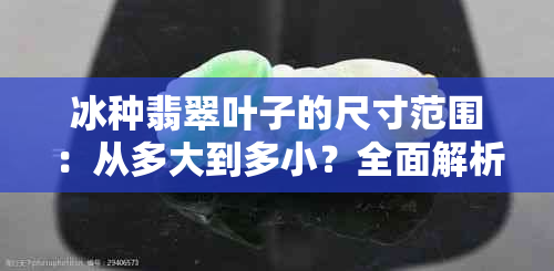 冰种翡翠叶子的尺寸范围：从多大到多小？全面解析各种大小特征