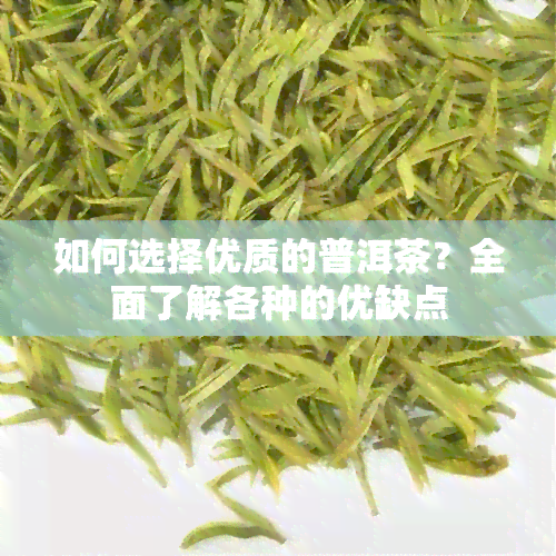 如何选择优质的普洱茶？全面了解各种的优缺点