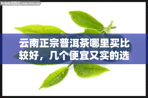 云南正宗普洱茶哪里买比较好，几个便宜又实的选择