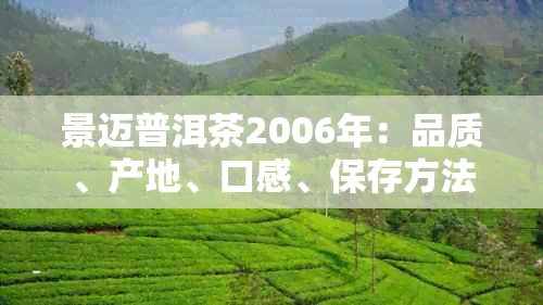 景迈普洱茶2006年：品质、产地、口感、保存方法等全方位解析与品鉴指南