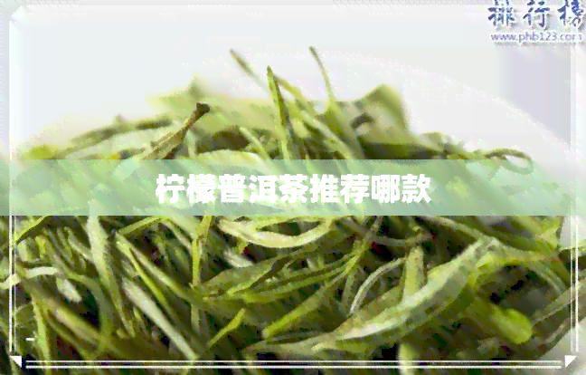 柠檬普洱茶推荐哪款