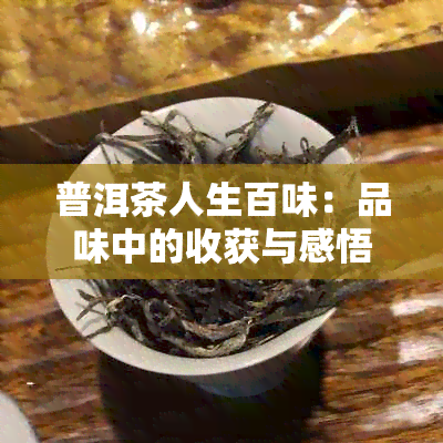 普洱茶人生百味：品味中的收获与感悟