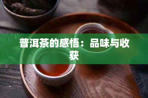 普洱茶的感悟：品味与收获