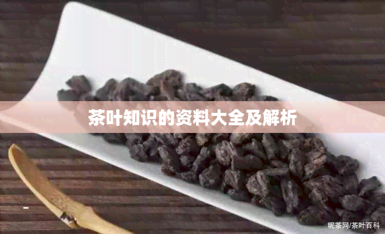 茶叶知识的资料大全及解析