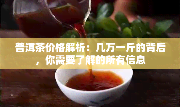 普洱茶价格解析：几万一斤的背后，你需要了解的所有信息